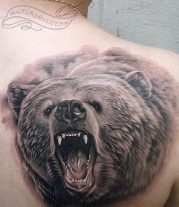 Bear Head Tattoo On Right Shoulder Blade