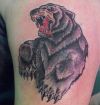 bear arm tattoo