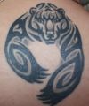 Bear tattoos pics design