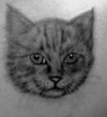 Cat Head Tattoos Design
