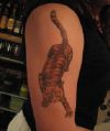 cat tattoo on right arm