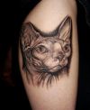 cat head tattoo pic