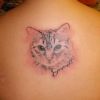 cat head back tattoos