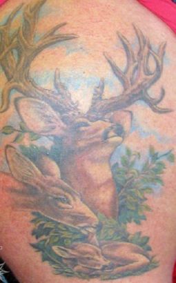 Deers Tattoo Pic