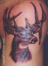 deer tattoo pics