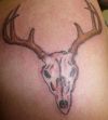 deer skull tattoo pics