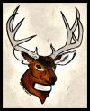 free deer head tattoo