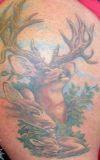deers tattoo pic