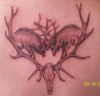 fights deer tattoos