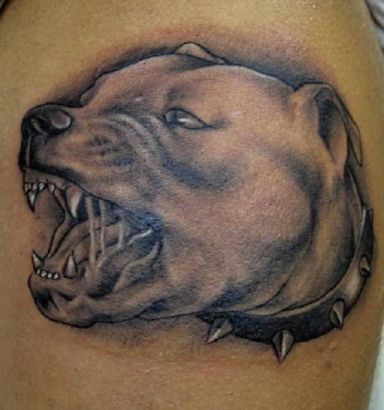 Dog Head Images Tattoos 