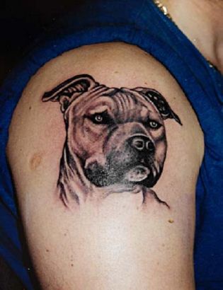 Dog Head Pictures Tattoos