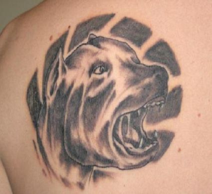 Dog Head Tattoo Pictures