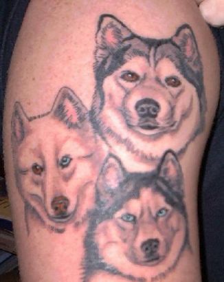 Dog Heads Tattoo On Arm