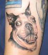 dog head images tattoo