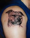 dog head pictures tattoos