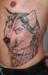 dog tattoo on side stomach