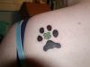 dog paw tattoo on shoulder