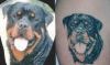 dogs face tattoo