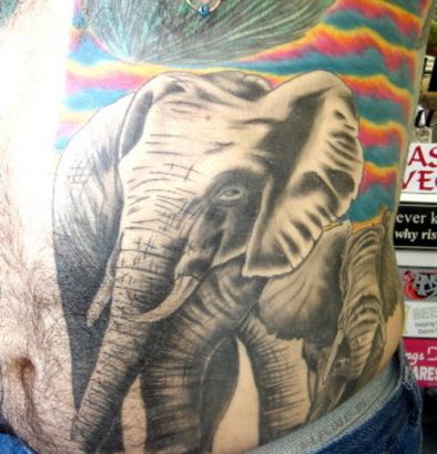 Elephants Tattoo On Stomach