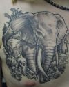 elephant tattoo on side chest