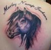 horse and text tattoo