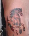 horse image tattoo