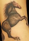 horse image tattoos