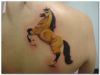 horse tattoo on back