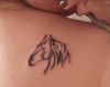 horse head images tattoo