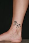 horse tattoo pic on ankle