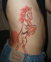 tribal horse tattoo on side back