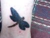3D tattoo of dragonfly