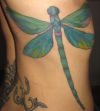 large dragonfly tattoo