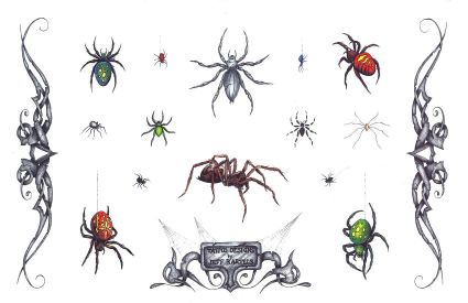 Spider Tattoo Gallery