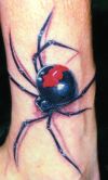 3D redback spider tattoo