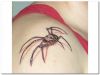 3D skull spider tattoo