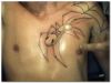 3D spider image tattoo