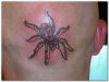 3D spider images tattoos