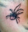 3D tattoo spider