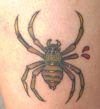 spider tattoo design pic