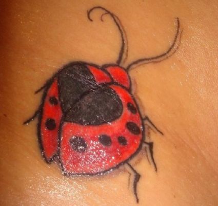 Ladybug Image Tattoos