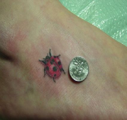 Ladybug Tattoo Images On Ankle