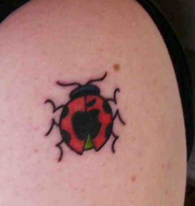 Ladybug Tattoos Images