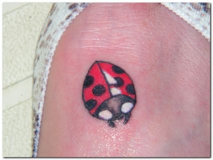 Ladybug Tattoos Picture