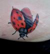 3D ladybug tattoo