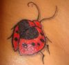 ladybug image tattoos