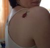 ladybug tattoos design
