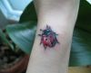 ladybug tattoo picture