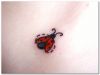 small ladybug tattoo