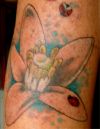 ladybug pic tattoo